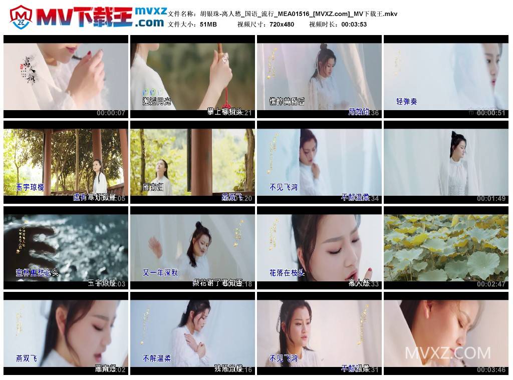 胡银珠-离人愁_国语_流行_MEA01516